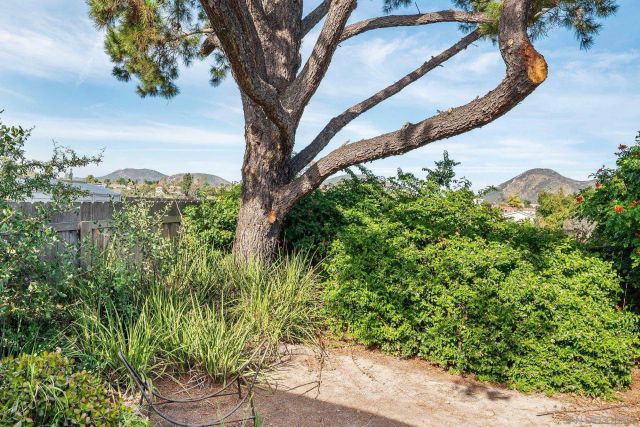 6392 Amberly St, San Diego, CA 92120