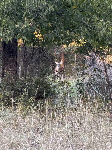 213 PR 1743 B, Clifton, TX 76634