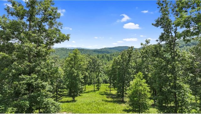 LT 11 Haven Way, Blue Ridge, GA 30513