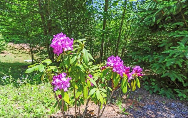 LT 11 Haven Way, Blue Ridge, GA 30513