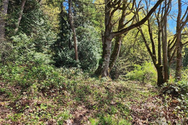 0 E Lake Sammamish Parkway NE, Sammamish, WA 98074