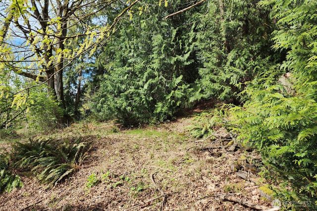 0 E Lake Sammamish Parkway NE, Sammamish, WA 98074