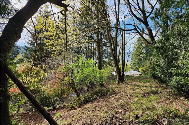 0 E Lake Sammamish Parkway NE, Sammamish, WA 98074