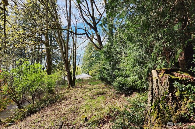 0 E Lake Sammamish Parkway NE, Sammamish, WA 98074