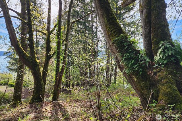 0 E Lake Sammamish Parkway NE, Sammamish, WA 98074