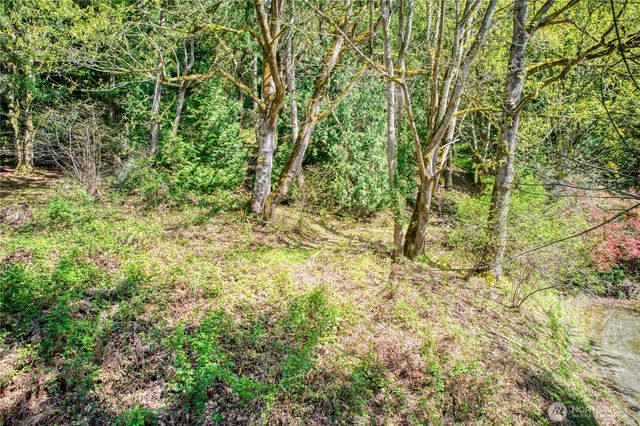 0 E Lake Sammamish Parkway NE, Sammamish, WA 98074