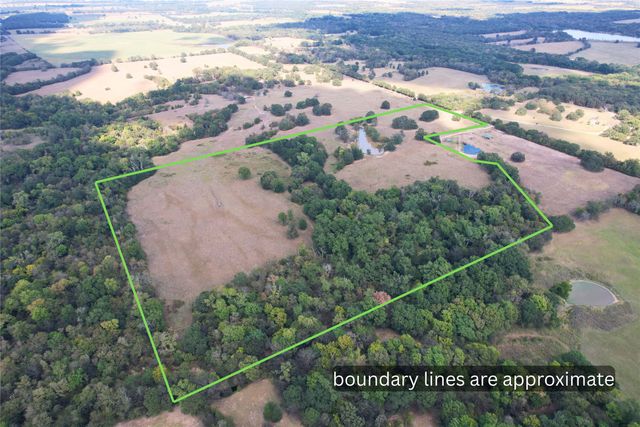 Lot 3 County Road 1155, Brashear, TX 75420