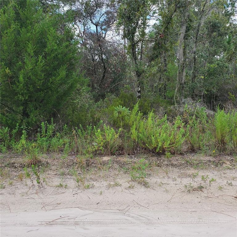 NE 66TH LANE, Williston, FL 32696