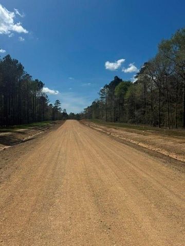 TBD LOT 1 Horace Bonds Road, Livingston, TX 77351