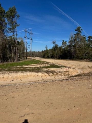 TBD LOT 1 Horace Bonds Road, Livingston, TX 77351