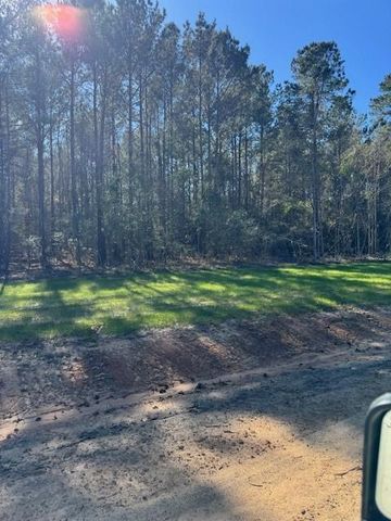 TBD LOT 1 Horace Bonds Road, Livingston, TX 77351