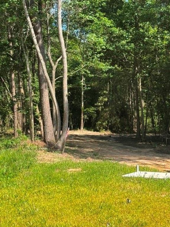 TBD LOT 1 Horace Bonds Road, Livingston, TX 77351