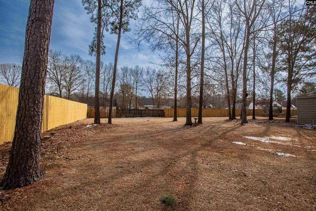 9 Bushnell Court, Lugoff, SC 29078