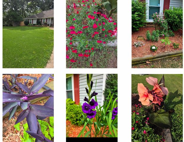 78 Rolling Oaks Drive, Maumelle, AR 72113