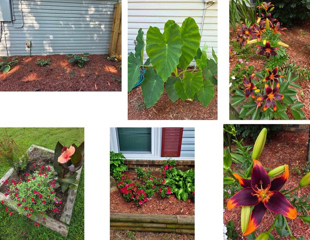 78 Rolling Oaks Drive, Maumelle, AR 72113