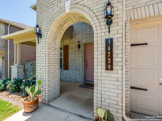 16739 Basin Oak, San Antonio, TX 78247