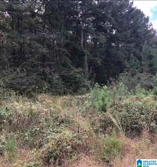 THOMASTON ROAD, Lincoln, AL 35096