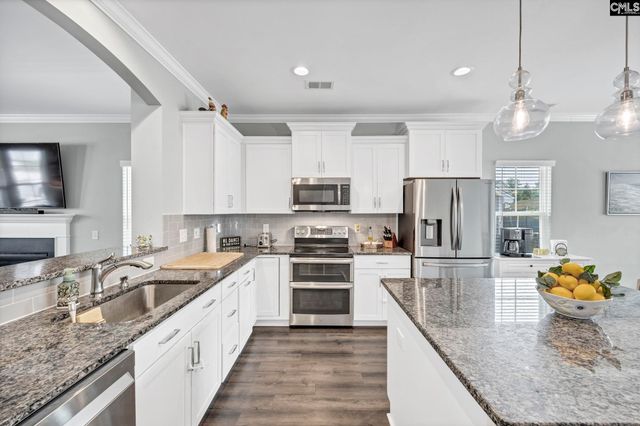 1250 Portrait Hill Drive, Chapin, SC 29036