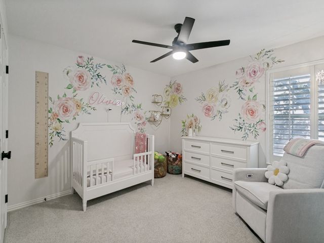 1305 Tree Farm Drive, Plano, TX 75093