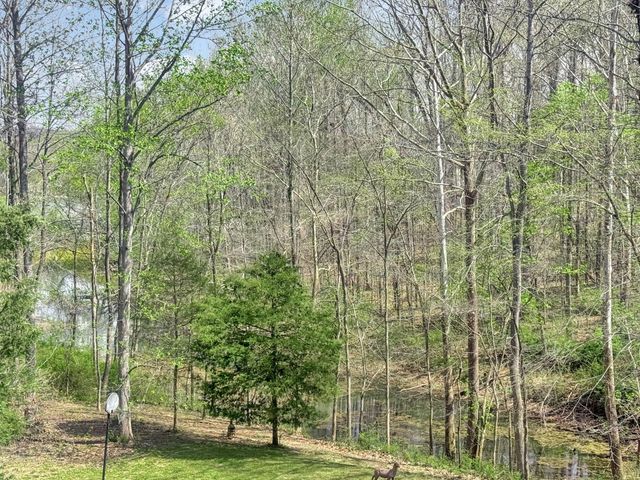 480 Hickman Shores Rd, Dover, TN 37058