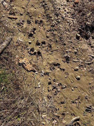 1 Boontown Road, Trinity, TX 75845