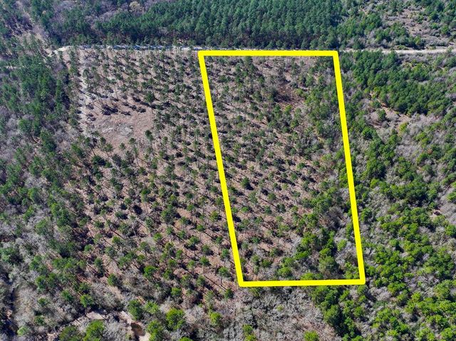 1 Boontown Road, Trinity, TX 75845