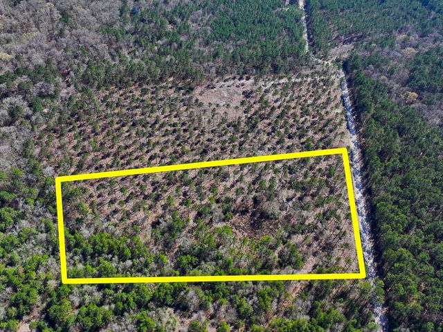 1 Boontown Road, Trinity, TX 75845