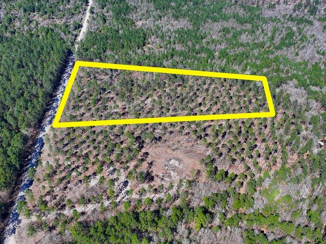 1 Boontown Road, Trinity, TX 75845