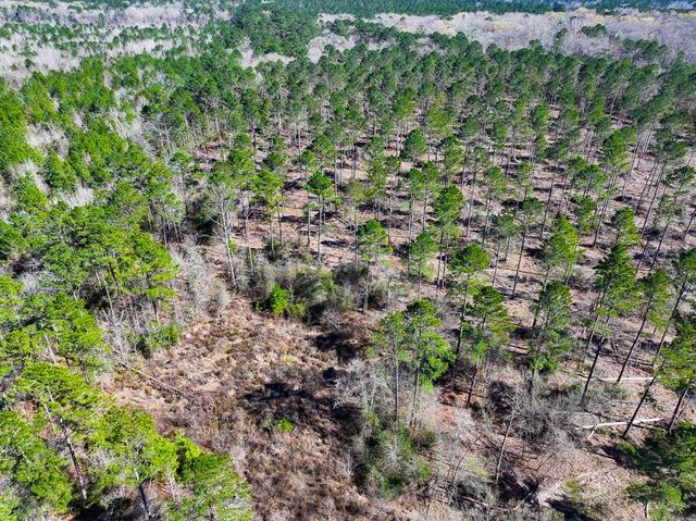 1 Boontown Road, Trinity, TX 75845