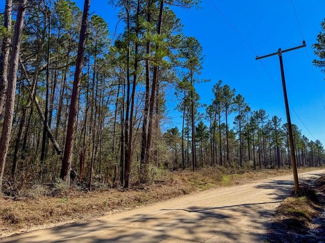 1 Boontown Road, Trinity, TX 75845