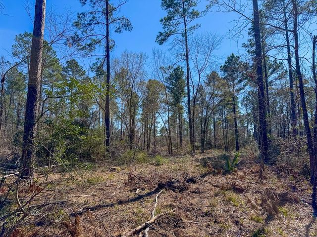 1 Boontown Road, Trinity, TX 75845