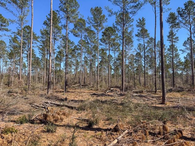 1 Boontown Road, Trinity, TX 75845