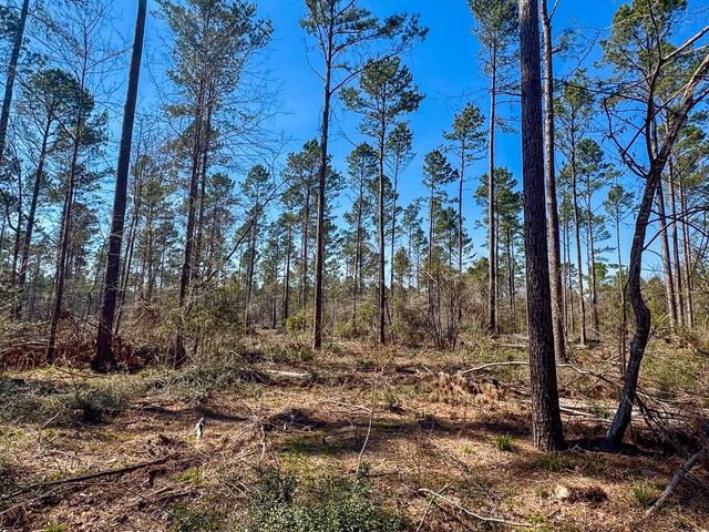 1 Boontown Road, Trinity, TX 75845