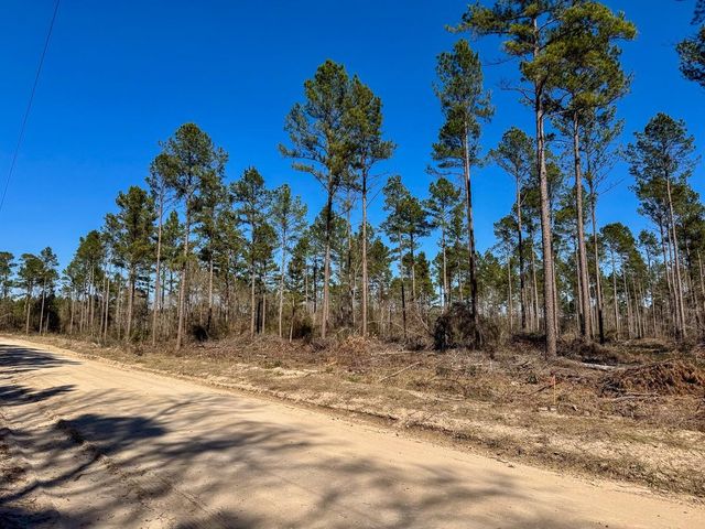 1 Boontown Road, Trinity, TX 75845