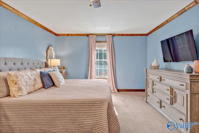 685 County Road 267, Bryant, AL 35958