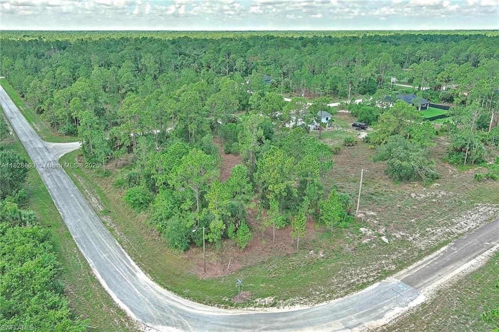 158 Nagel AVE S, LEHIGH ACRES, FL 33974 — photo 3