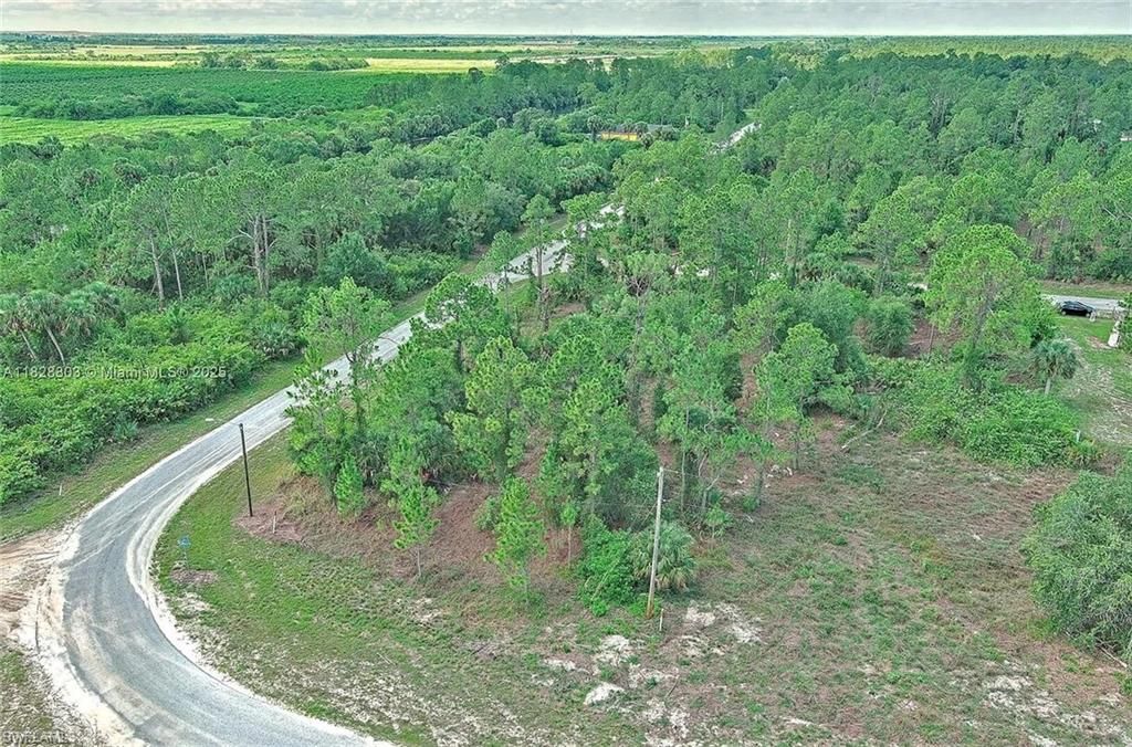 158 Nagel AVE S, LEHIGH ACRES, FL 33974 — photo 4
