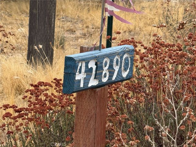 42890 tamatea, Anza, CA 92539