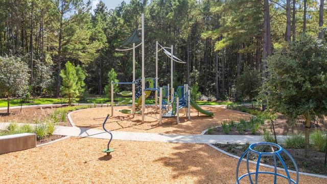 25224 Leather Leaf Court, Montgomery, TX 77316