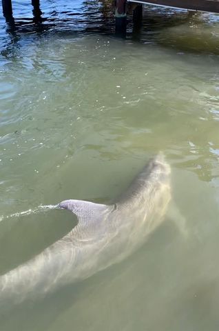 6317 WISTERIA LANE, Apollo Beach, FL 33572