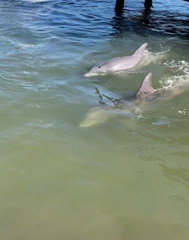 6317 WISTERIA LANE, Apollo Beach, FL 33572