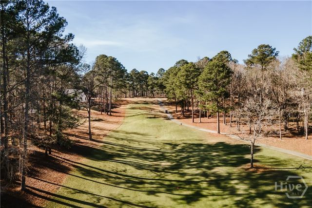 1040 Spy Glass Hill, Greensboro, GA 30642