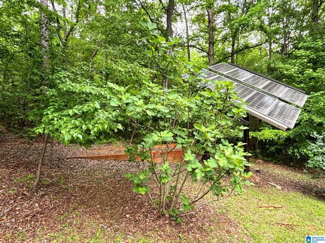 85 AMANDA DRIVE, Wedowee, AL 36278