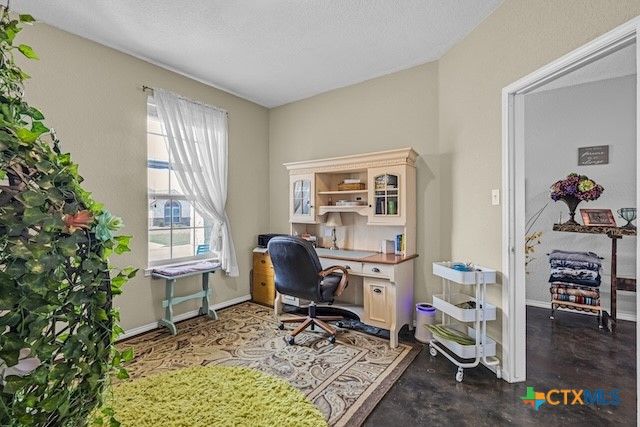 209 Sugar Maple Court, Nolanville, TX 76559