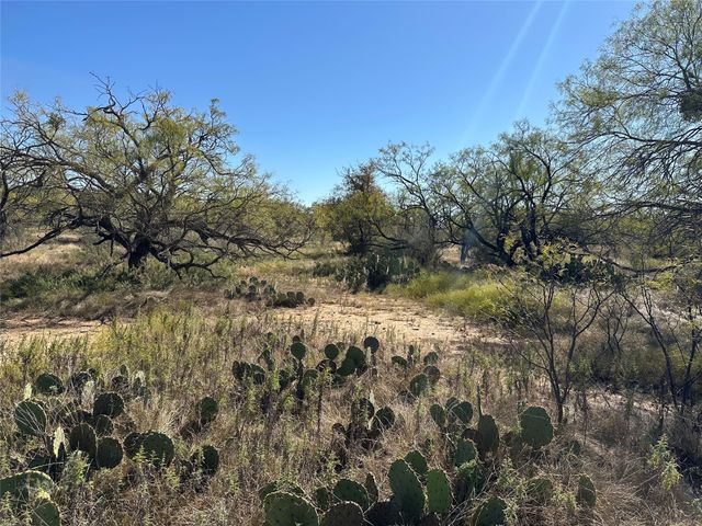 11101 County Road 228, Brownwood, TX 76801