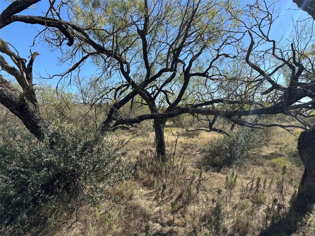 11101 County Road 228, Brownwood, TX 76801