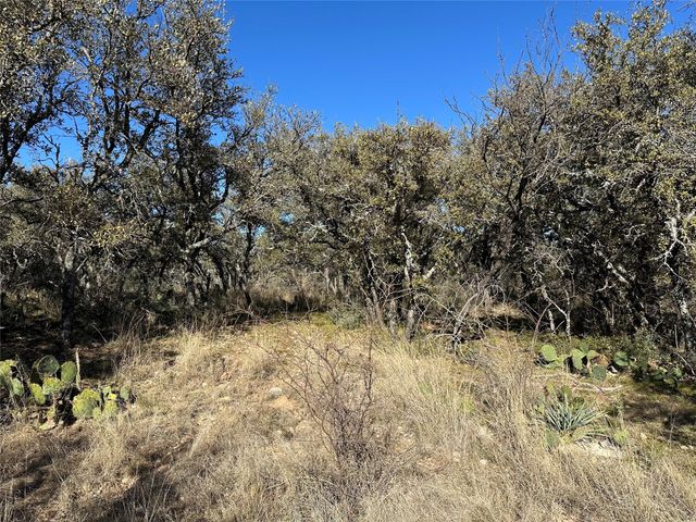 11101 County Road 228, Brownwood, TX 76801