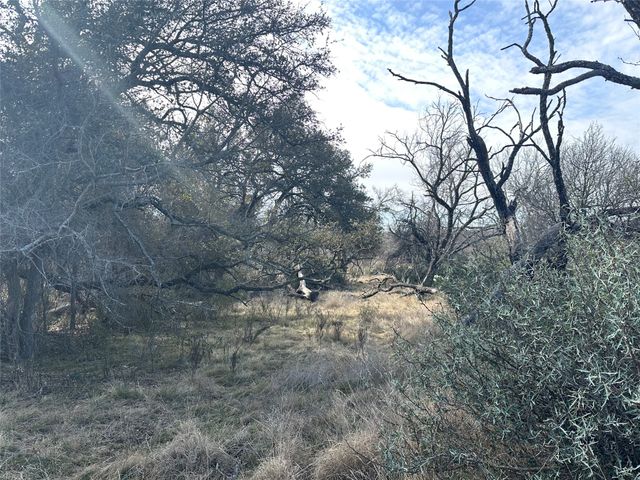 11101 County Road 228, Brownwood, TX 76801