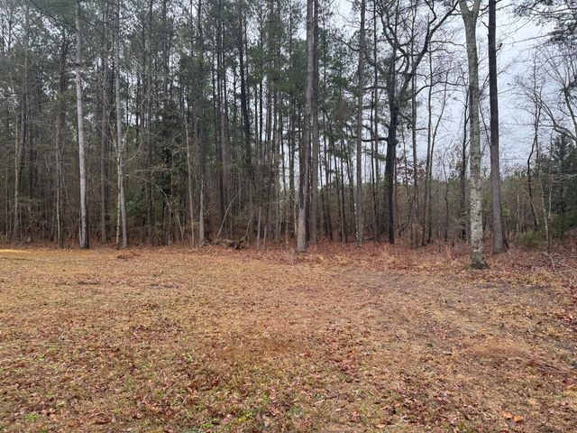 165 Ash Hill Drive, Eutawville, SC 29048