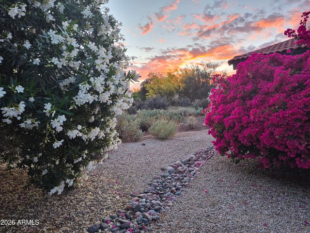 18409 E HORSESHOE Circle, Rio Verde, AZ 85263